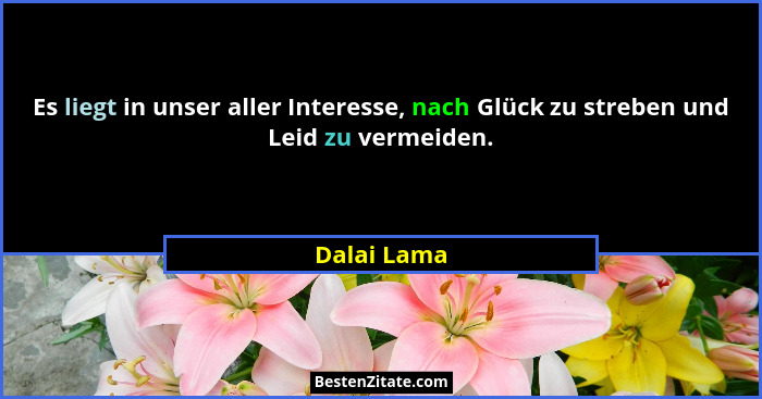 Es liegt in unser aller Interesse, nach Glück zu streben und Leid zu vermeiden.... - Dalai Lama
