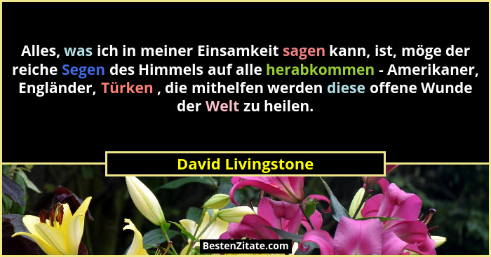 Alles, was ich in meiner Einsamkeit sagen kann, ist, möge der reiche Segen des Himmels auf alle herabkommen - Amerikaner, Englände... - David Livingstone