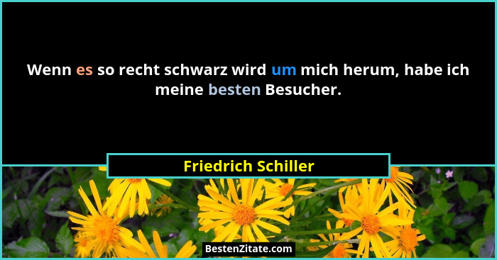 Wenn es so recht schwarz wird um mich herum, habe ich meine besten Besucher.... - Friedrich Schiller