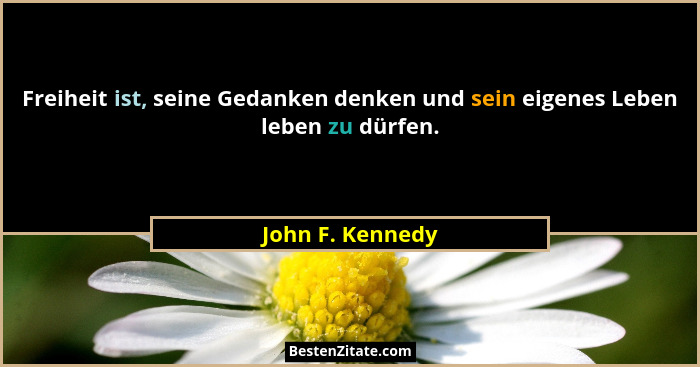 Freiheit ist, seine Gedanken denken und sein eigenes Leben leben zu dürfen.... - John F. Kennedy