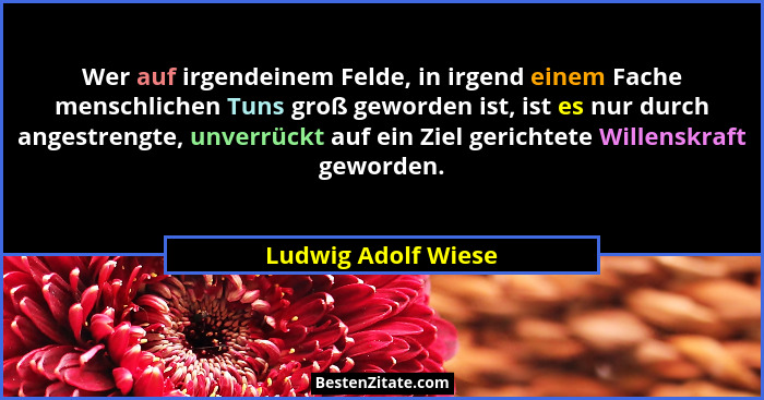 Wer auf irgendeinem Felde, in irgend einem Fache menschlichen Tuns groß geworden ist, ist es nur durch angestrengte, unverrückt a... - Ludwig Adolf Wiese