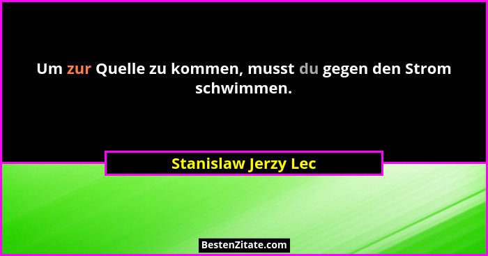 Um zur Quelle zu kommen, musst du gegen den Strom schwimmen.... - Stanislaw Jerzy Lec