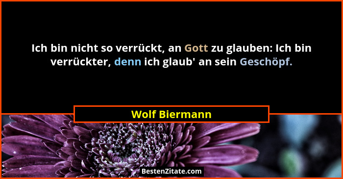 Ich bin nicht so verrückt, an Gott zu glauben: Ich bin verrückter, denn ich glaub' an sein Geschöpf.... - Wolf Biermann