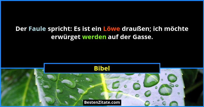Der Faule spricht: Es ist ein Löwe draußen; ich möchte erwürget werden auf der Gasse.... - Bibel