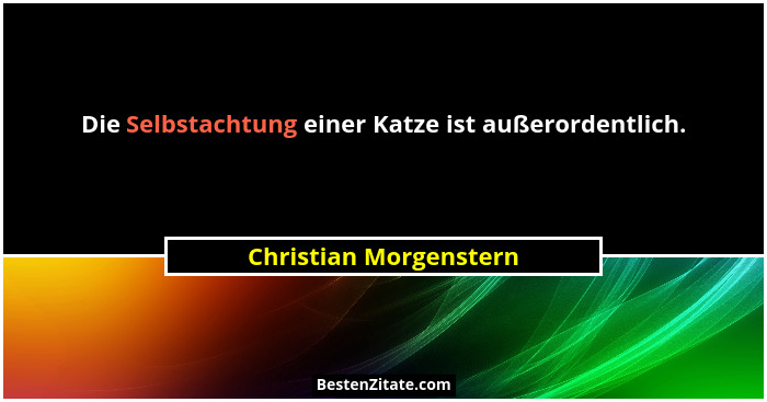 Die Selbstachtung einer Katze ist außerordentlich.... - Christian Morgenstern