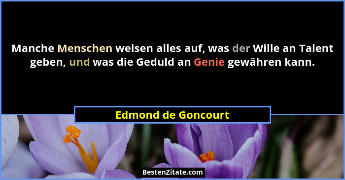 Manche Menschen weisen alles auf, was der Wille an Talent geben, und was die Geduld an Genie gewähren kann.... - Edmond de Goncourt