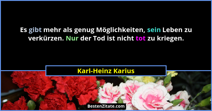Es gibt mehr als genug Möglichkeiten, sein Leben zu verkürzen. Nur der Tod ist nicht tot zu kriegen.... - Karl-Heinz Karius