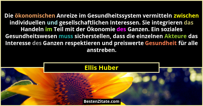 Die ökonomischen Anreize im Gesundheitssystem vermitteln zwischen individuellen und gesellschaftlichen Interessen. Sie integrieren das H... - Ellis Huber
