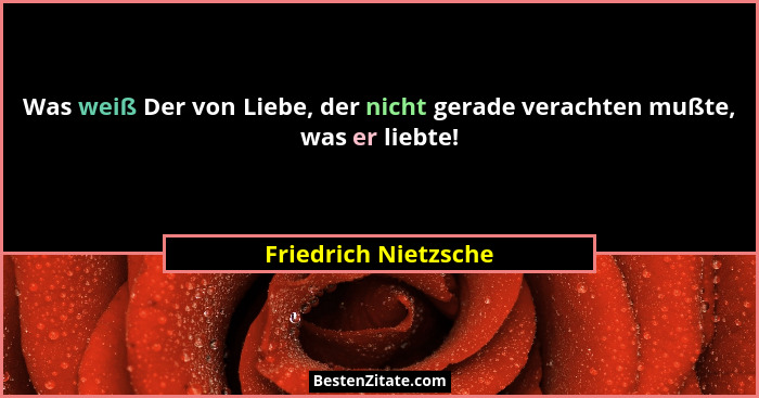 Was weiß Der von Liebe, der nicht gerade verachten mußte, was er liebte!... - Friedrich Nietzsche