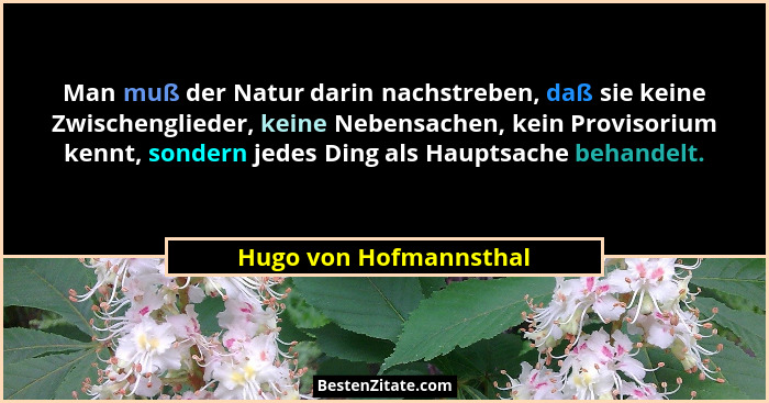 Man muß der Natur darin nachstreben, daß sie keine Zwischenglieder, keine Nebensachen, kein Provisorium kennt, sondern jedes D... - Hugo von Hofmannsthal