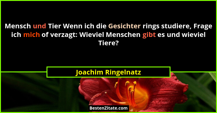 Mensch und Tier Wenn ich die Gesichter rings studiere, Frage ich mich of verzagt: Wieviel Menschen gibt es und wieviel Tiere?... - Joachim Ringelnatz