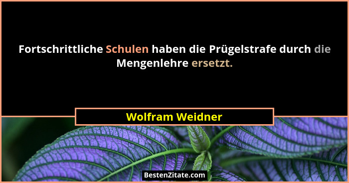 Fortschrittliche Schulen haben die Prügelstrafe durch die Mengenlehre ersetzt.... - Wolfram Weidner
