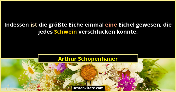 Indessen ist die größte Eiche einmal eine Eichel gewesen, die jedes Schwein verschlucken konnte.... - Arthur Schopenhauer