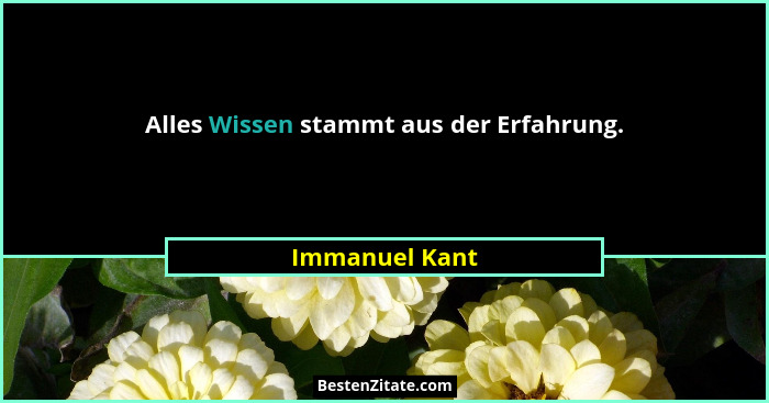 Alles Wissen stammt aus der Erfahrung.... - Immanuel Kant