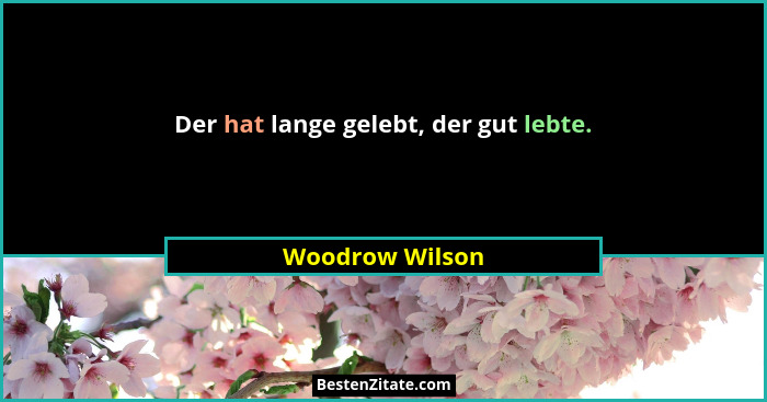 Der hat lange gelebt, der gut lebte.... - Woodrow Wilson