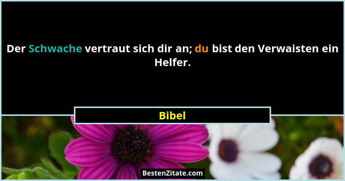 Der Schwache vertraut sich dir an; du bist den Verwaisten ein Helfer.... - Bibel