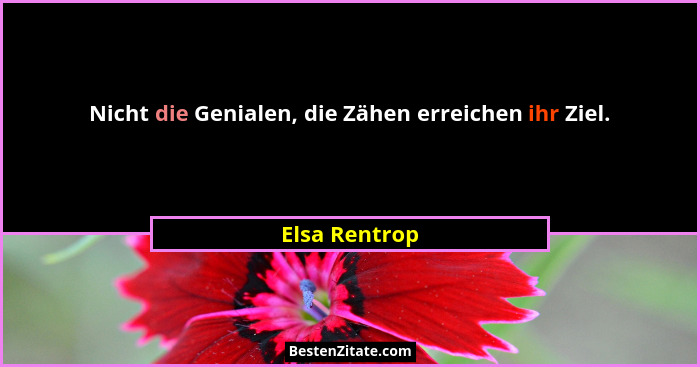 Nicht die Genialen, die Zähen erreichen ihr Ziel.... - Elsa Rentrop