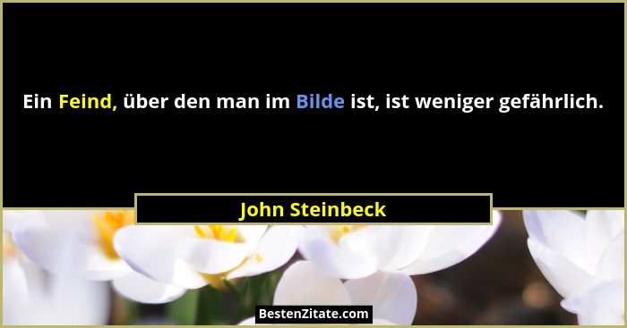 Ein Feind, über den man im Bilde ist, ist weniger gefährlich.... - John Steinbeck