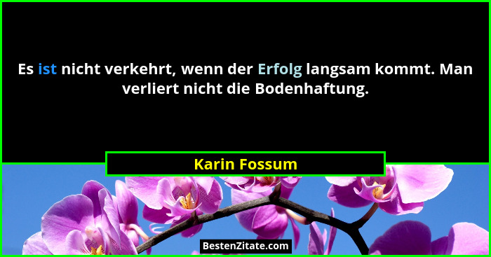 Es ist nicht verkehrt, wenn der Erfolg langsam kommt. Man verliert nicht die Bodenhaftung.... - Karin Fossum