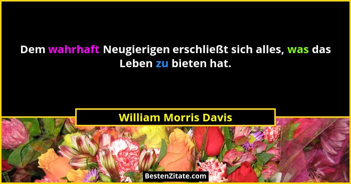 Dem wahrhaft Neugierigen erschließt sich alles, was das Leben zu bieten hat.... - William Morris Davis