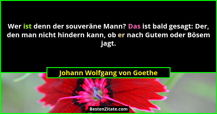 Wer ist denn der souveräne Mann? Das ist bald gesagt: Der, den man nicht hindern kann, ob er nach Gutem oder Bösem jagt.... - Johann Wolfgang von Goethe
