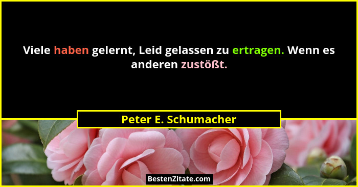 Viele haben gelernt, Leid gelassen zu ertragen. Wenn es anderen zustößt.... - Peter E. Schumacher