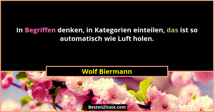 In Begriffen denken, in Kategorien einteilen, das ist so automatisch wie Luft holen.... - Wolf Biermann
