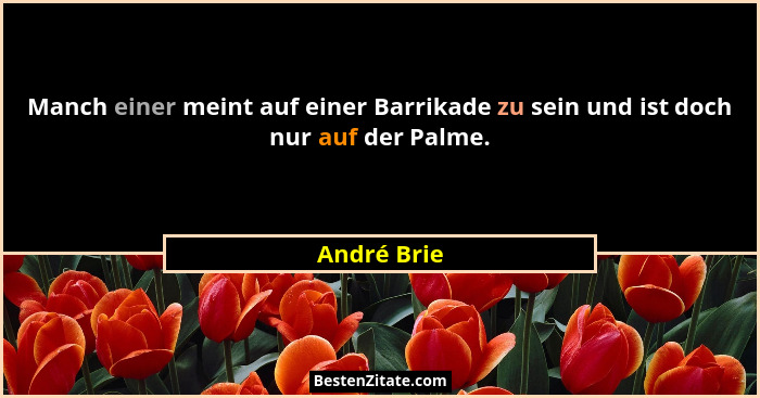 Manch einer meint auf einer Barrikade zu sein und ist doch nur auf der Palme.... - André Brie