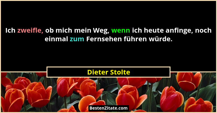 Ich zweifle, ob mich mein Weg, wenn ich heute anfinge, noch einmal zum Fernsehen führen würde.... - Dieter Stolte
