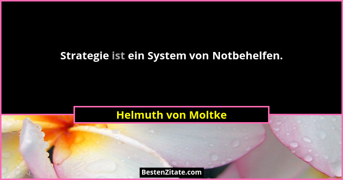 Strategie ist ein System von Notbehelfen.... - Helmuth von Moltke