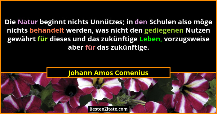 Die Natur beginnt nichts Unnützes; in den Schulen also möge nichts behandelt werden, was nicht den gediegenen Nutzen gewährt fü... - Johann Amos Comenius