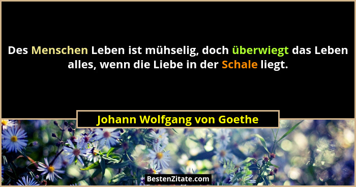 Des Menschen Leben ist mühselig, doch überwiegt das Leben alles, wenn die Liebe in der Schale liegt.... - Johann Wolfgang von Goethe