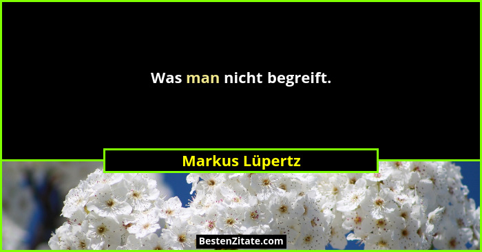 Was man nicht begreift.... - Markus Lüpertz