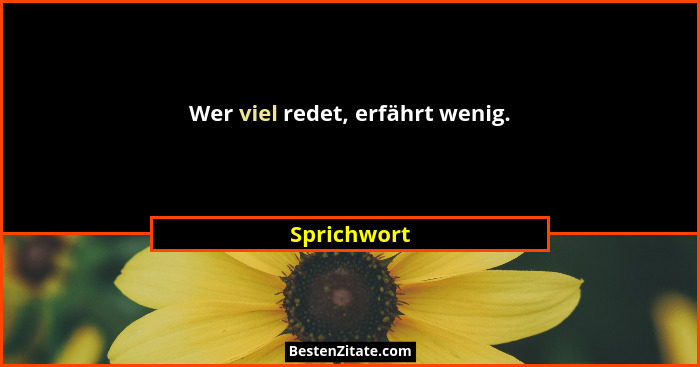 Wer viel redet, erfährt wenig.... - Sprichwort