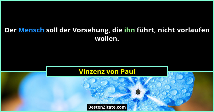 Der Mensch soll der Vorsehung, die ihn führt, nicht vorlaufen wollen.... - Vinzenz von Paul
