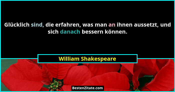 Glücklich sind, die erfahren, was man an ihnen aussetzt, und sich danach bessern können.... - William Shakespeare
