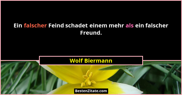 Ein falscher Feind schadet einem mehr als ein falscher Freund.... - Wolf Biermann