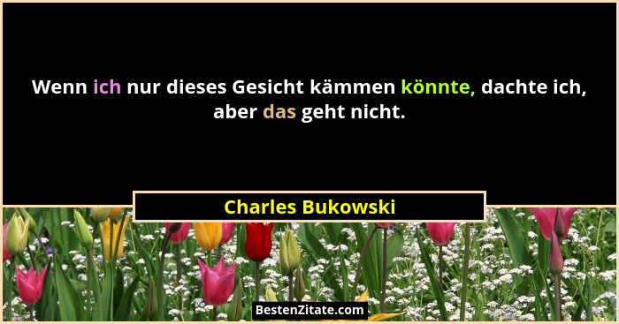 Wenn ich nur dieses Gesicht kämmen könnte, dachte ich, aber das geht nicht.... - Charles Bukowski