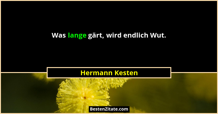 Was lange gärt, wird endlich Wut.... - Hermann Kesten