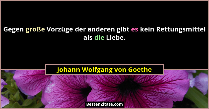 Gegen große Vorzüge der anderen gibt es kein Rettungsmittel als die Liebe.... - Johann Wolfgang von Goethe