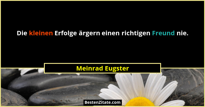 Die kleinen Erfolge ärgern einen richtigen Freund nie.... - Meinrad Eugster