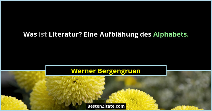 Was ist Literatur? Eine Aufblähung des Alphabets.... - Werner Bergengruen