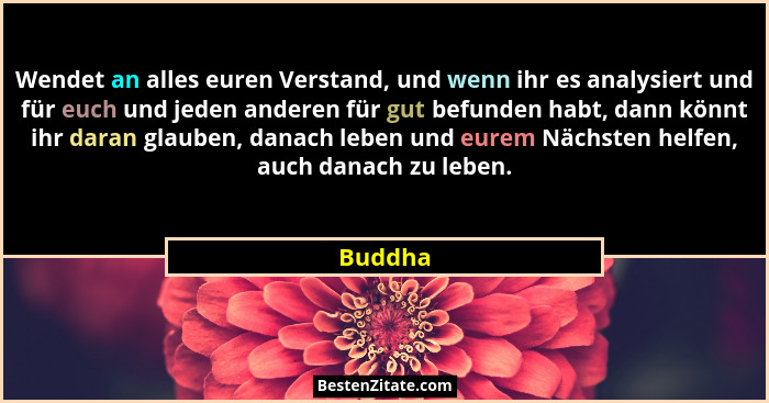 Wendet an alles euren Verstand, und wenn ihr es analysiert und für euch und jeden anderen für gut befunden habt, dann könnt ihr daran glauben... - Buddha