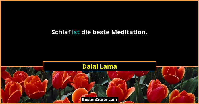 Schlaf ist die beste Meditation.... - Dalai Lama