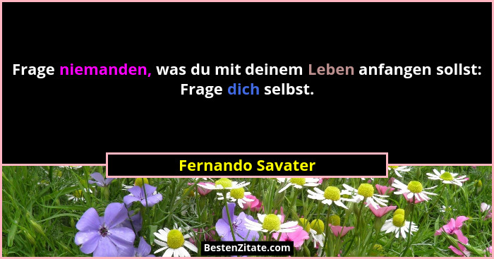 Frage niemanden, was du mit deinem Leben anfangen sollst: Frage dich selbst.... - Fernando Savater