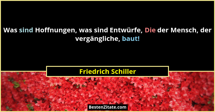 Was sind Hoffnungen, was sind Entwürfe, Die der Mensch, der vergängliche, baut!... - Friedrich Schiller