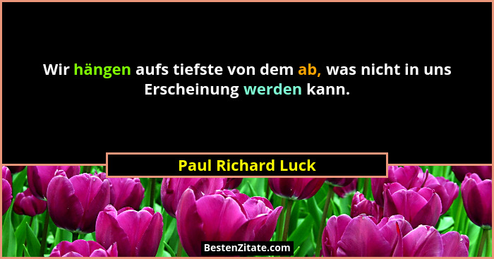 Wir hängen aufs tiefste von dem ab, was nicht in uns Erscheinung werden kann.... - Paul Richard Luck