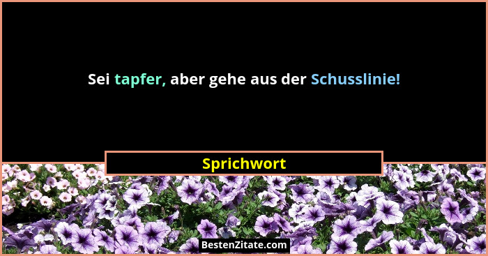 Sei tapfer, aber gehe aus der Schusslinie!... - Sprichwort