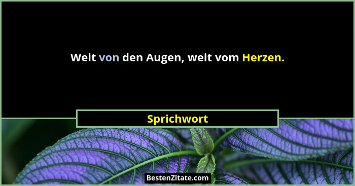 Weit von den Augen, weit vom Herzen.... - Sprichwort