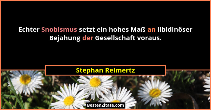 Echter Snobismus setzt ein hohes Maß an libidinöser Bejahung der Gesellschaft voraus.... - Stephan Reimertz